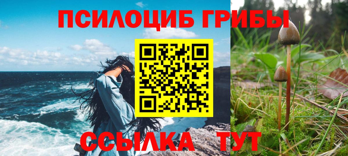 Псилоцибиновые грибы MAGIC MUSHROOMS  Вход с VPN  Карпинск 