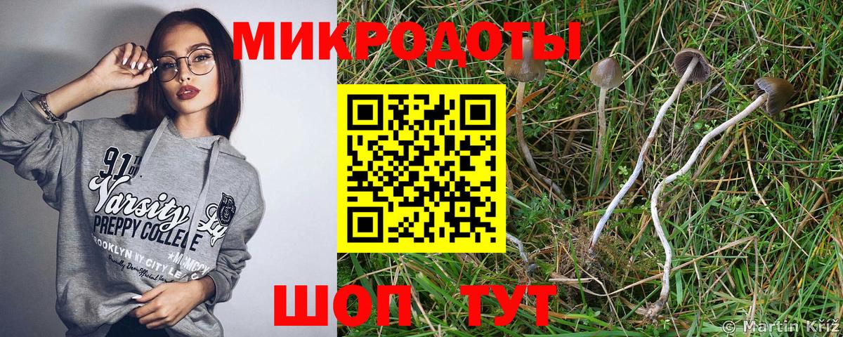 Галлюциногенные грибы Magic Shrooms Карпинск